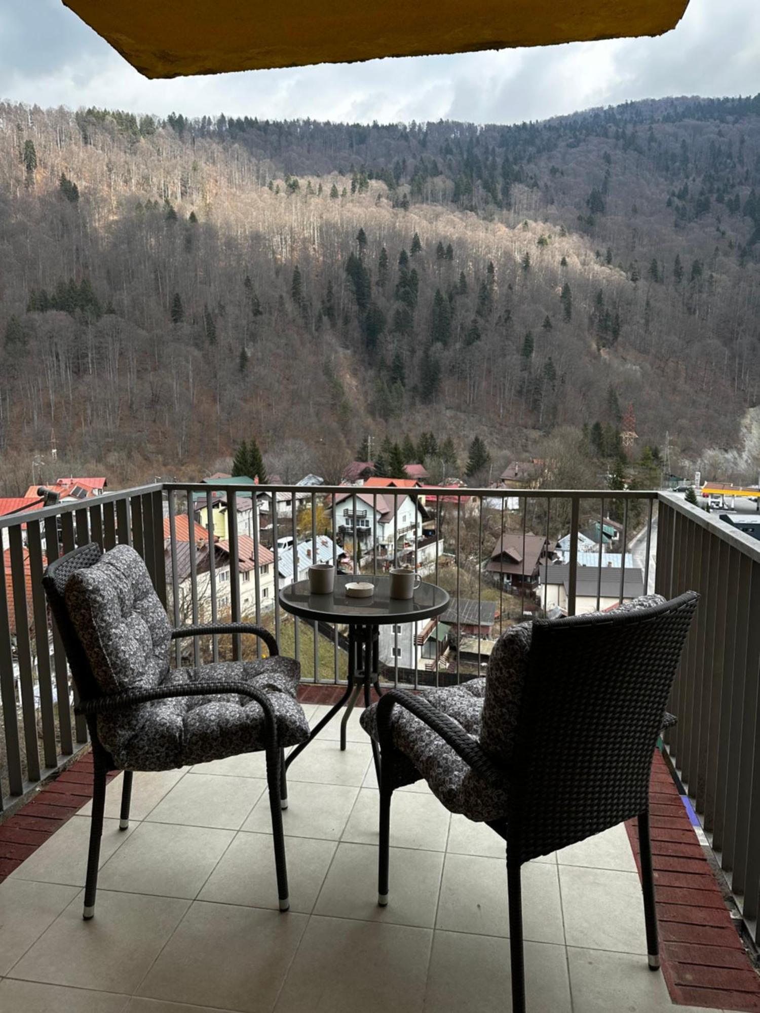 Colette Studio Belleview Sinaia Bagian luar foto